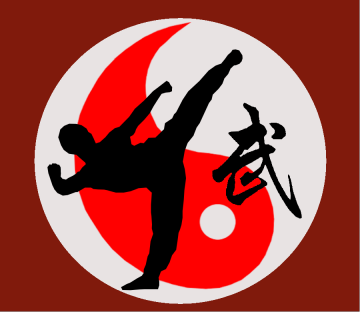 kung-fu lyon